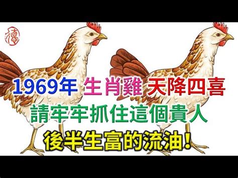 1969五行|生肖雞：1969年是什麼命？